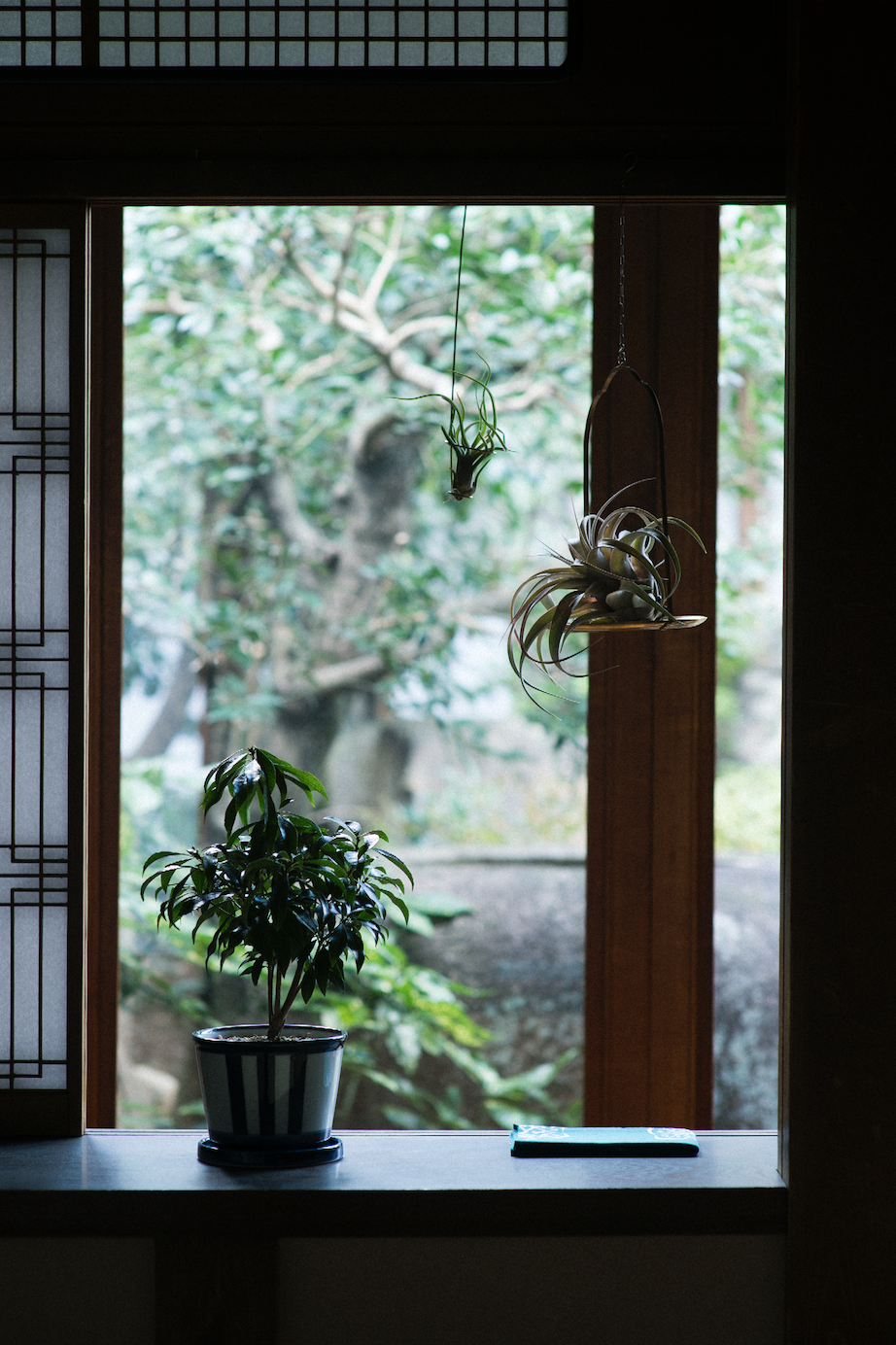 花園樹斎 実績紹介 そら植物園