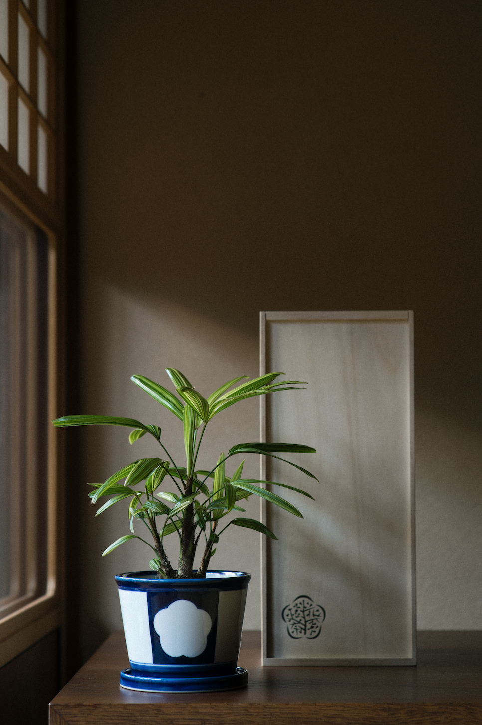 花園樹斎 実績紹介 そら植物園