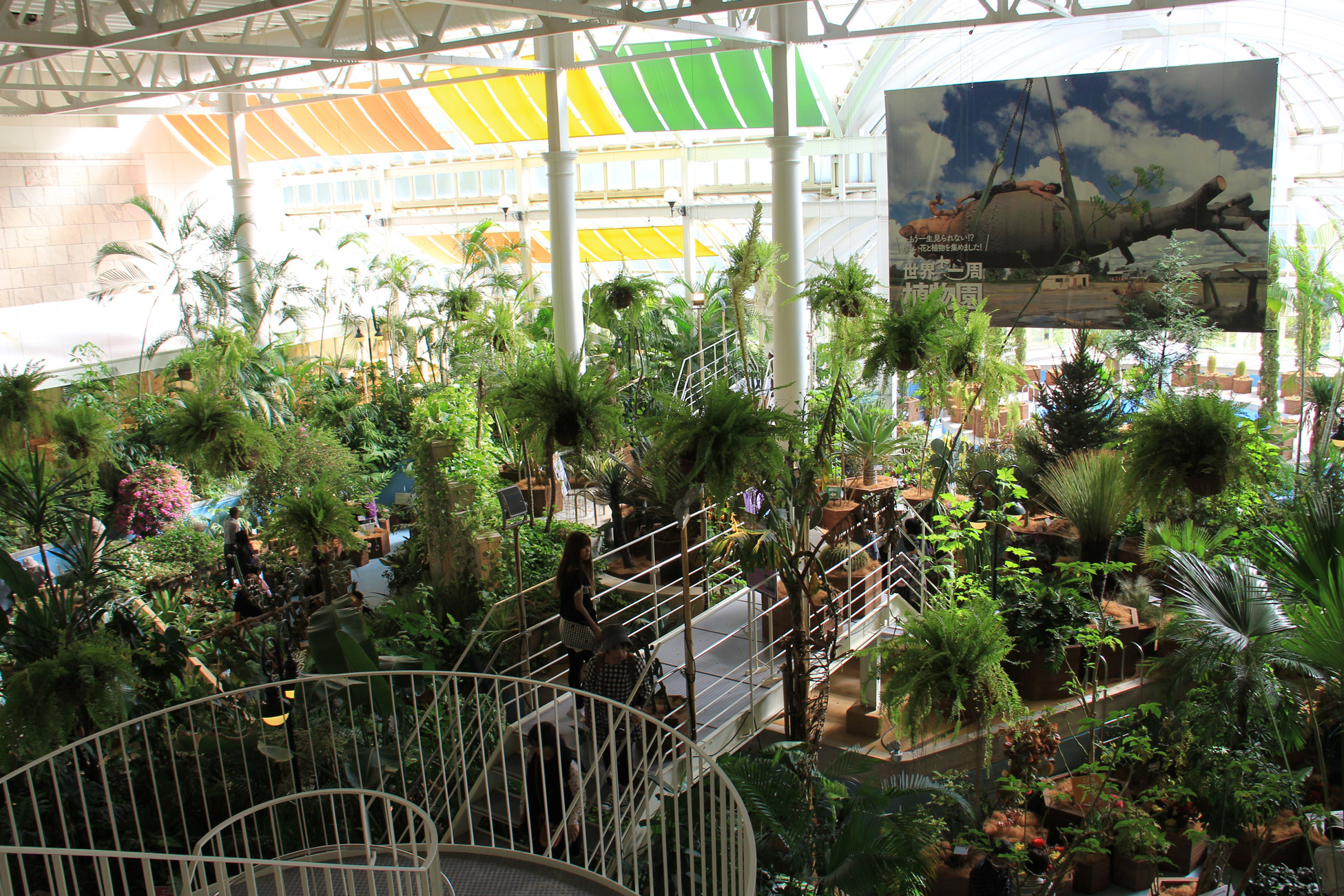 ハウステンボス そら植物園 世界一周植物園 実績紹介 そら植物園