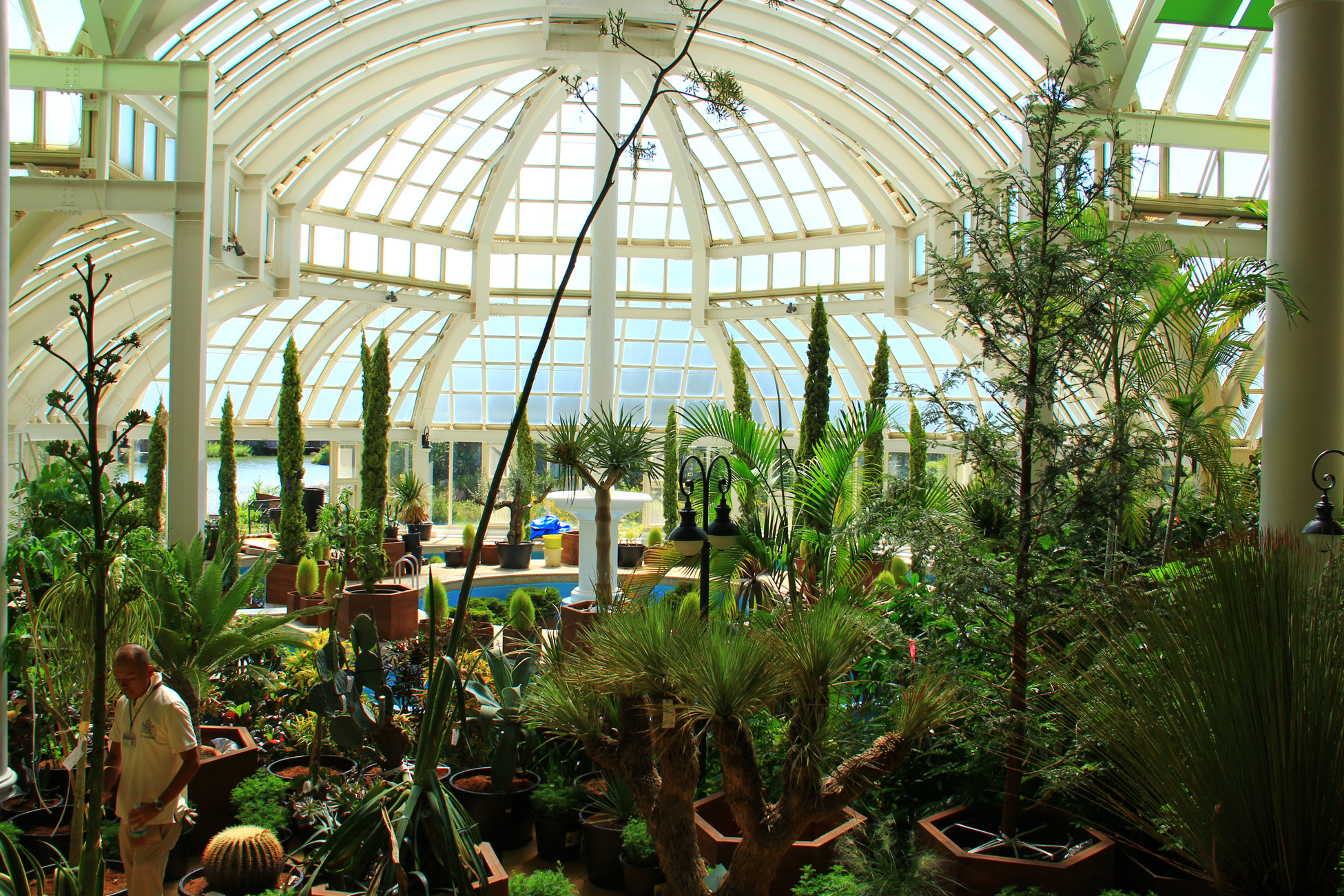 ハウステンボス そら植物園 世界一周植物園 実績紹介 そら植物園