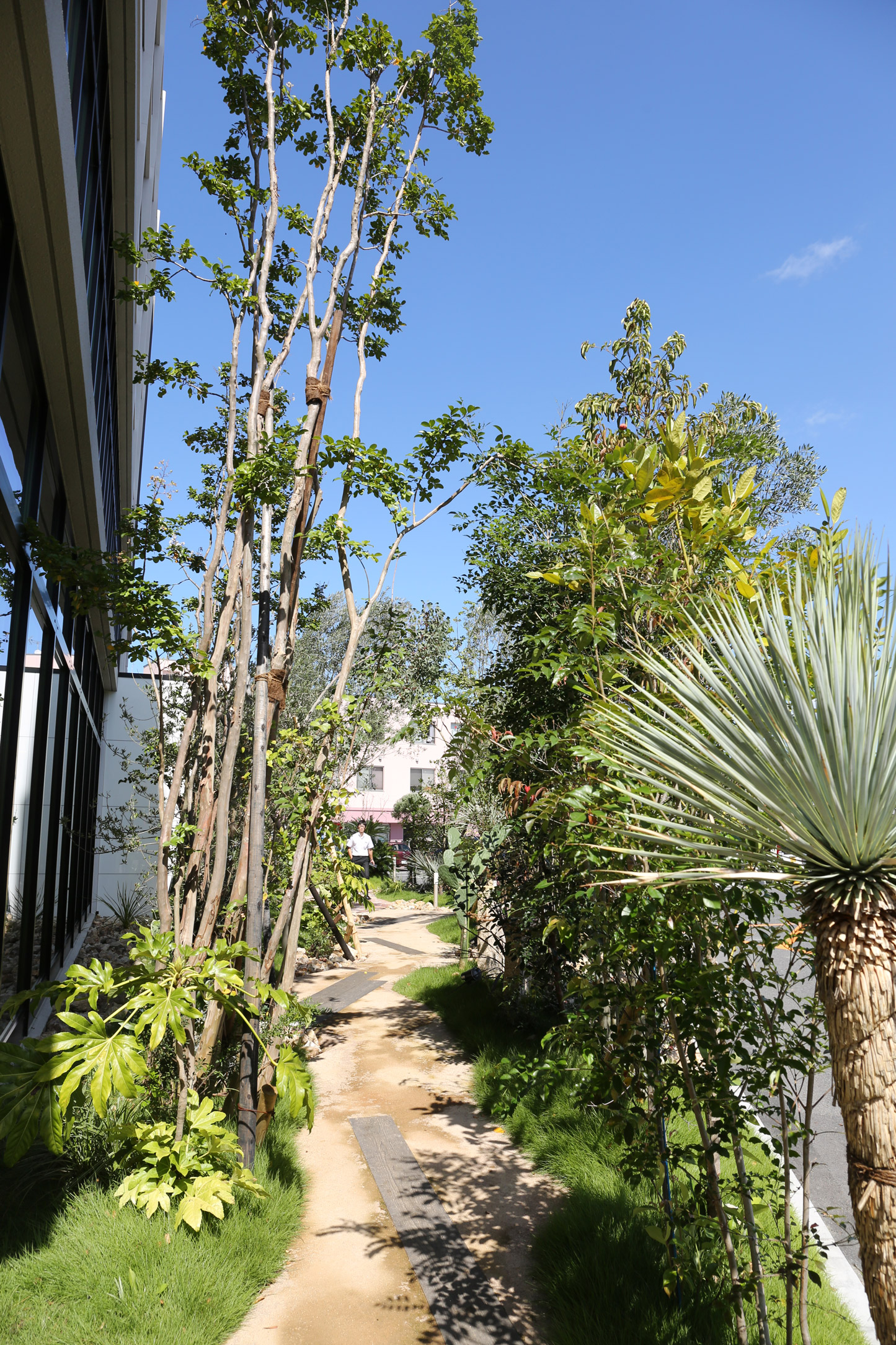 高栄ホーム 家カフェ Garden 実績紹介 そら植物園