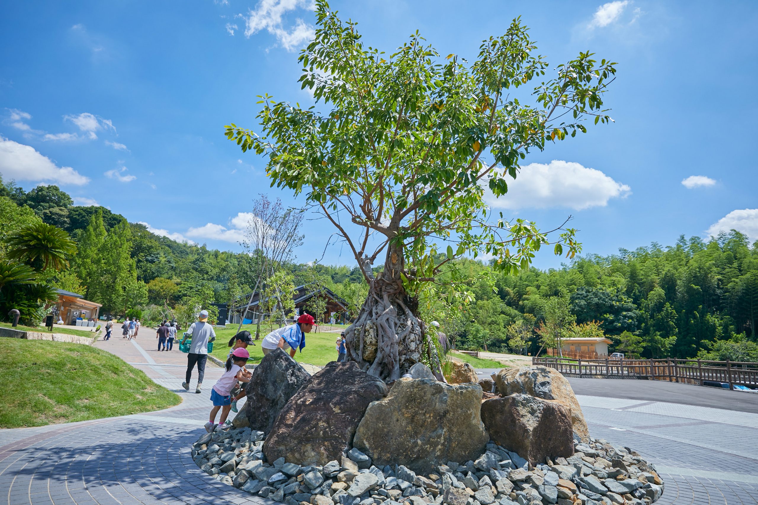 道の駅 四季の郷公園「FOOD HUNTER PARK」｜実績紹介｜そら植物園