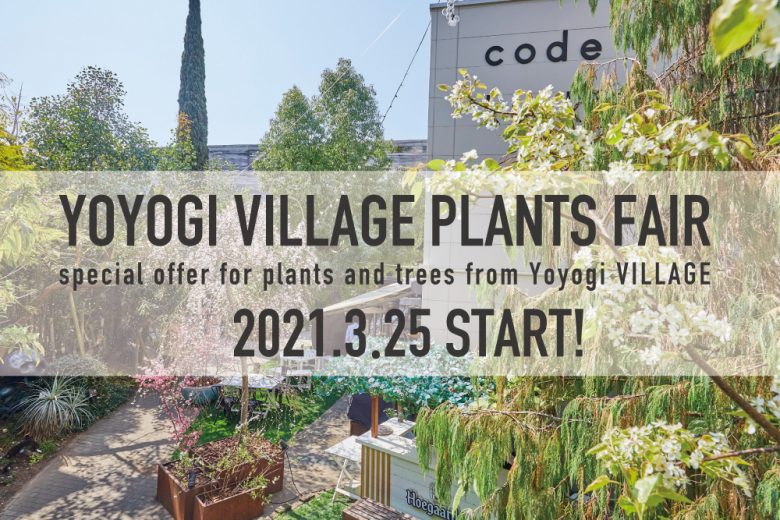 代々木village By Kurkku の植物をお譲りします ニュース そら植物園