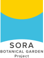 SORA